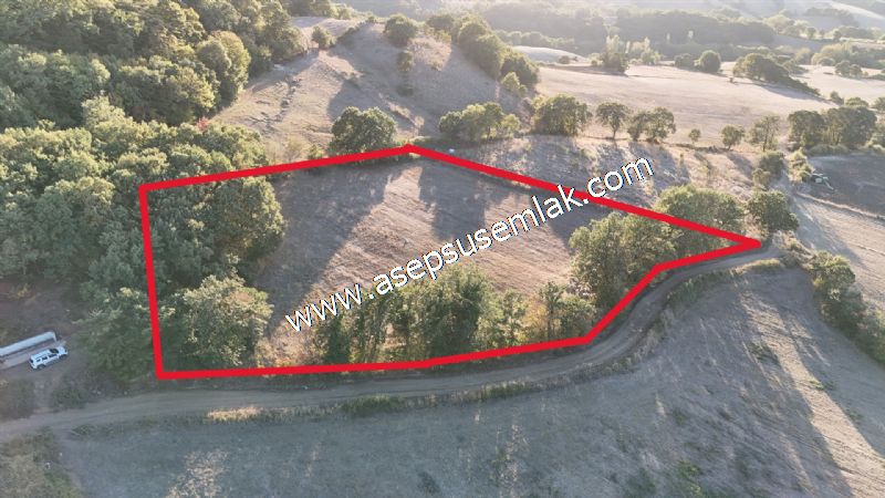 5.600 M2 Çiftlik, Hobi Bağ-Bahçe Kadastro Yolu Var, Hayvancılık