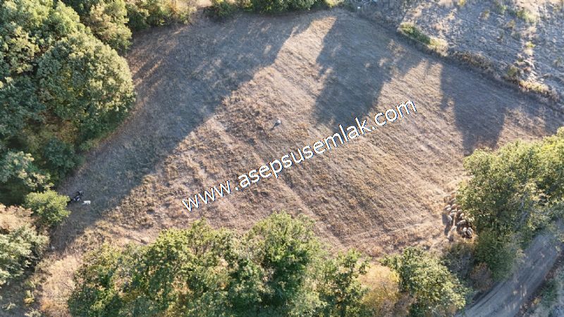 5.600 M2 Çiftlik, Hobi Bağ-Bahçe Kadastro Yolu Var, Hayvancılık