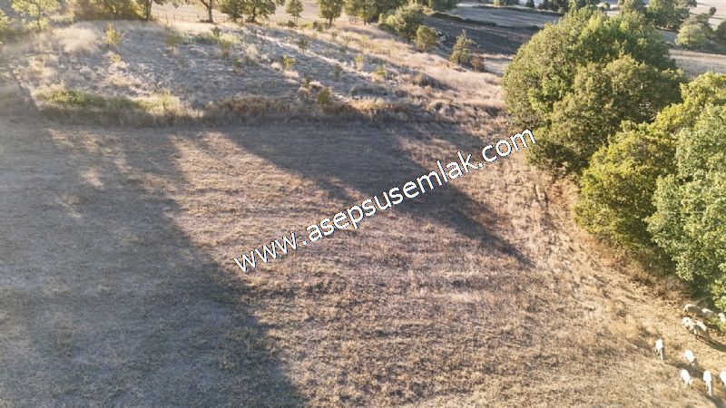 5.600 M2 Çiftlik, Hobi Bağ-Bahçe Kadastro Yolu Var, Hayvancılık