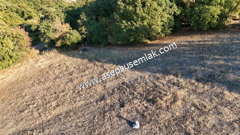 5.600 M2 Çiftlik, Hobi Bağ-Bahçe Kadastro Yolu Var, Hayvancılık