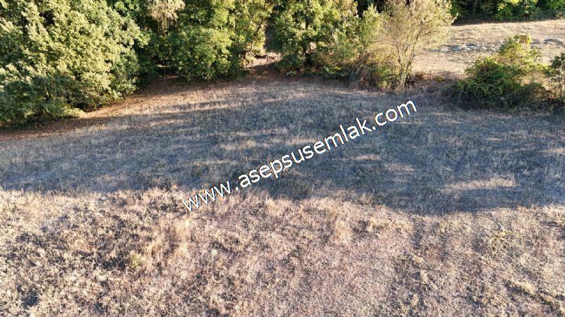 5.600 M2 Çiftlik, Hobi Bağ-Bahçe Kadastro Yolu Var, Hayvancılık
