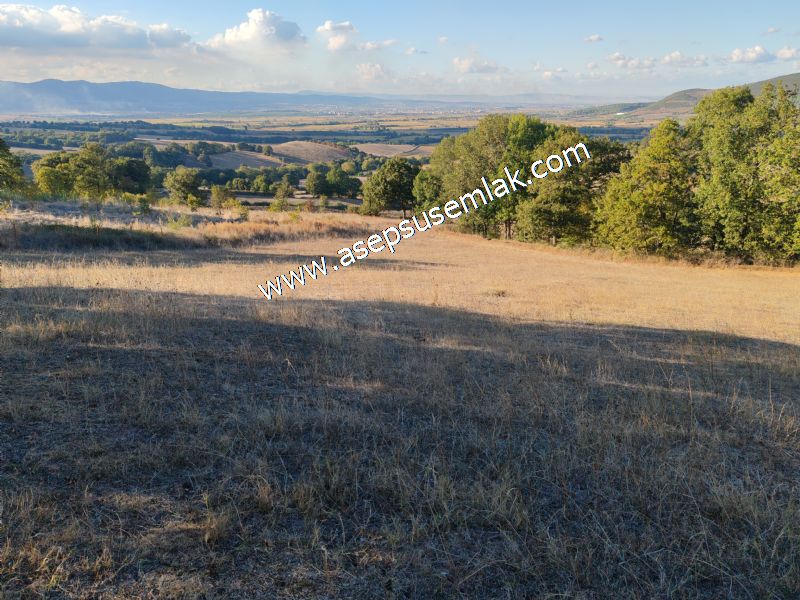 5.600 M2 Çiftlik, Hobi Bağ-Bahçe Kadastro Yolu Var, Hayvancılık