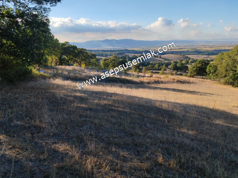 5.600 M2 Çiftlik, Hobi Bağ-Bahçe Kadastro Yolu Var, Hayvancılık