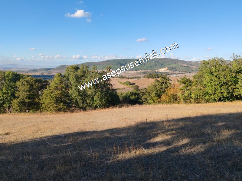 5.600 M2 Çiftlik, Hobi Bağ-Bahçe Kadastro Yolu Var, Hayvancılık