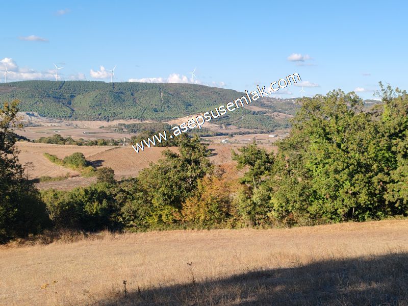 5.600 M2 Çiftlik, Hobi Bağ-Bahçe Kadastro Yolu Var, Hayvancılık