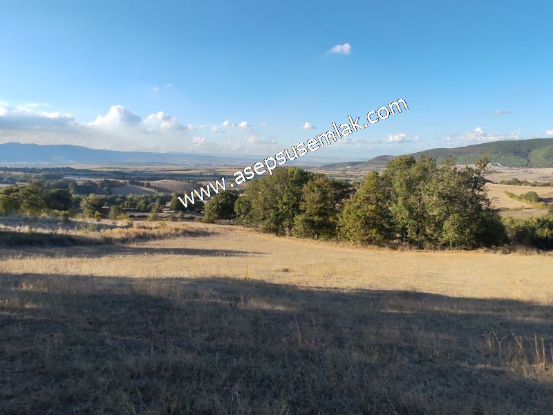5.600 M2 Çiftlik, Hobi Bağ-Bahçe Kadastro Yolu Var, Hayvancılık