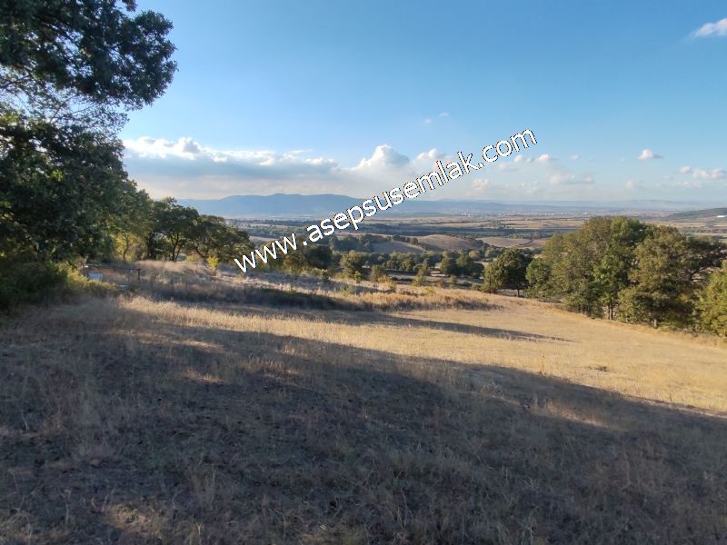 5.600 M2 Çiftlik, Hobi Bağ-Bahçe Kadastro Yolu Var, Hayvancılık