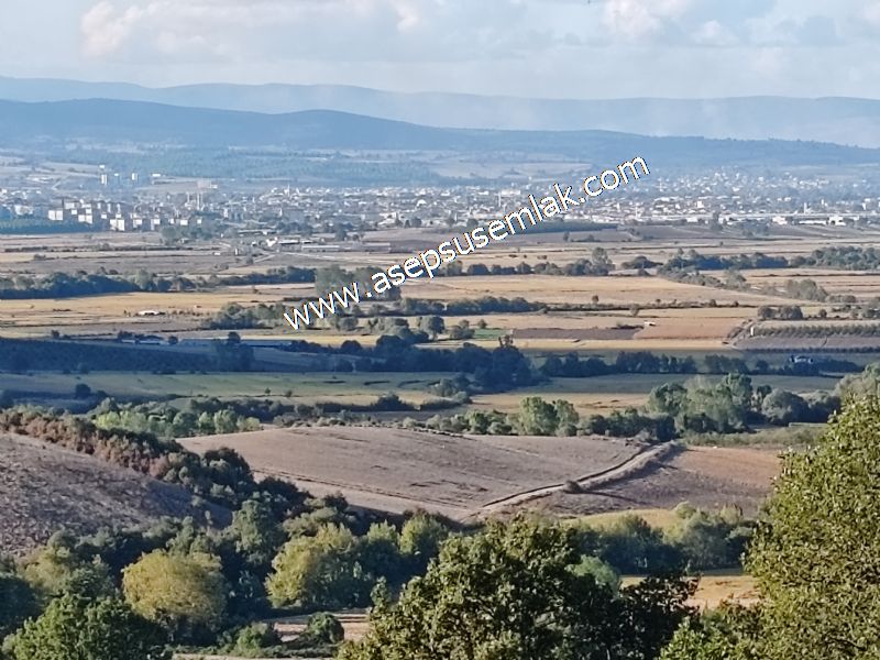 5.600 M2 Çiftlik, Hobi Bağ-Bahçe Kadastro Yolu Var, Hayvancılık