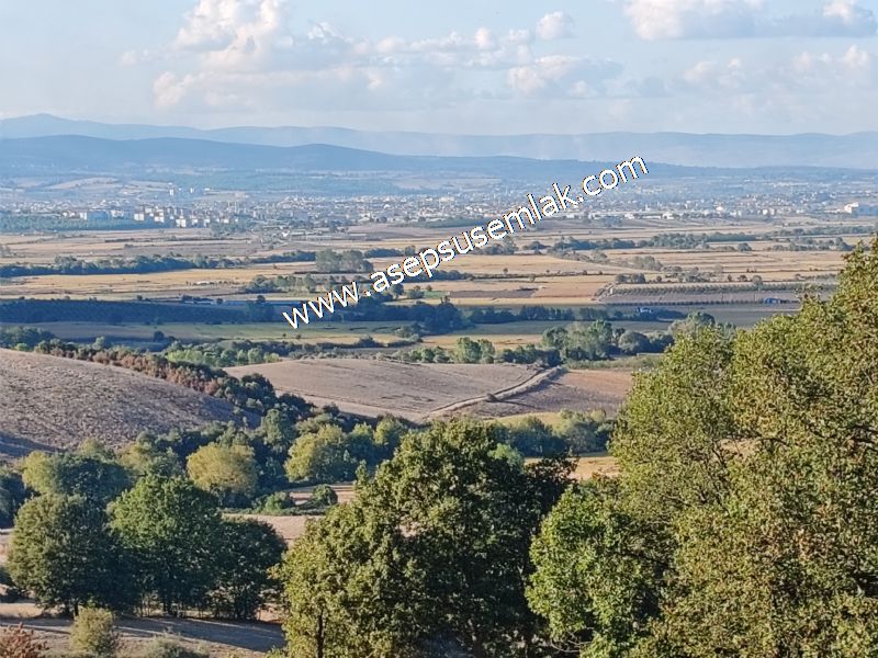 5.600 M2 Çiftlik, Hobi Bağ-Bahçe Kadastro Yolu Var, Hayvancılık