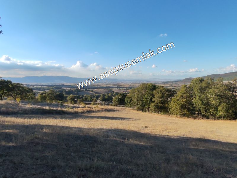 5.600 M2 Çiftlik, Hobi Bağ-Bahçe Kadastro Yolu Var, Hayvancılık