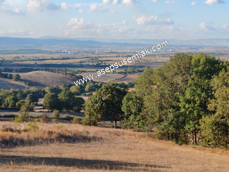 5.600 M2 Çiftlik, Hobi Bağ-Bahçe Kadastro Yolu Var, Hayvancılık