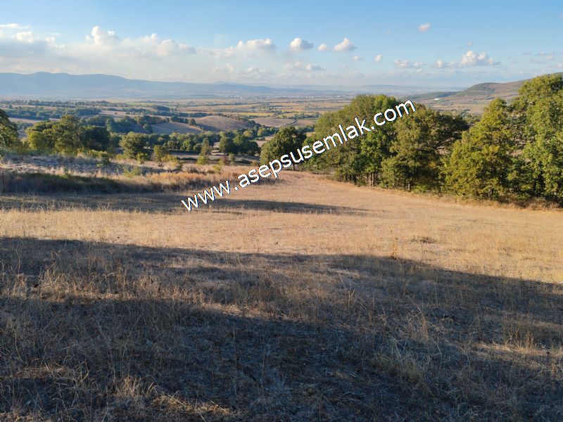 5.600 M2 Çiftlik, Hobi Bağ-Bahçe Kadastro Yolu Var, Hayvancılık