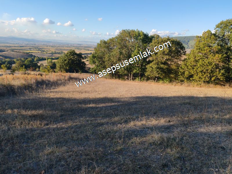 5.600 M2 Çiftlik, Hobi Bağ-Bahçe Kadastro Yolu Var, Hayvancılık