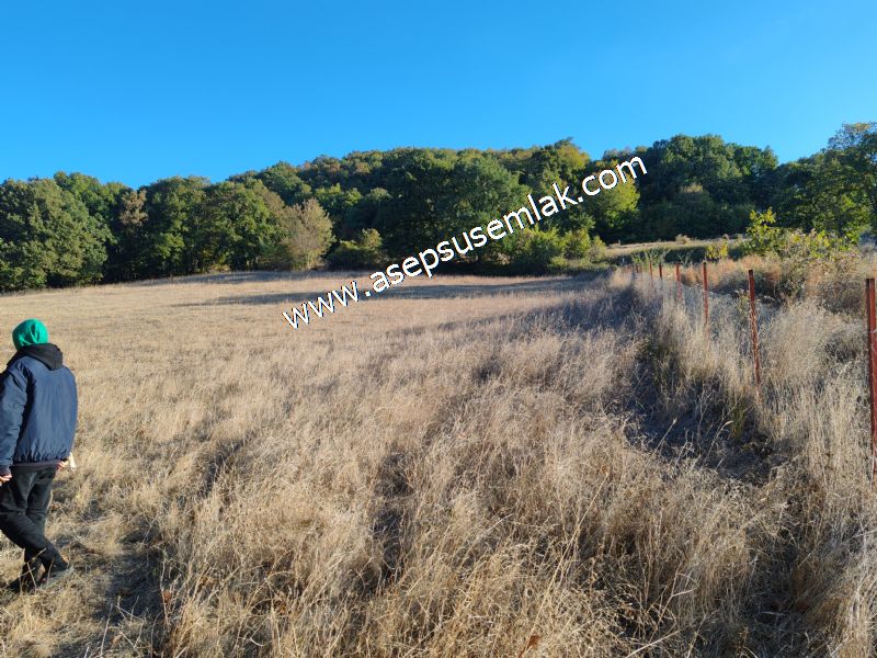 5.600 M2 Çiftlik, Hobi Bağ-Bahçe Kadastro Yolu Var, Hayvancılık