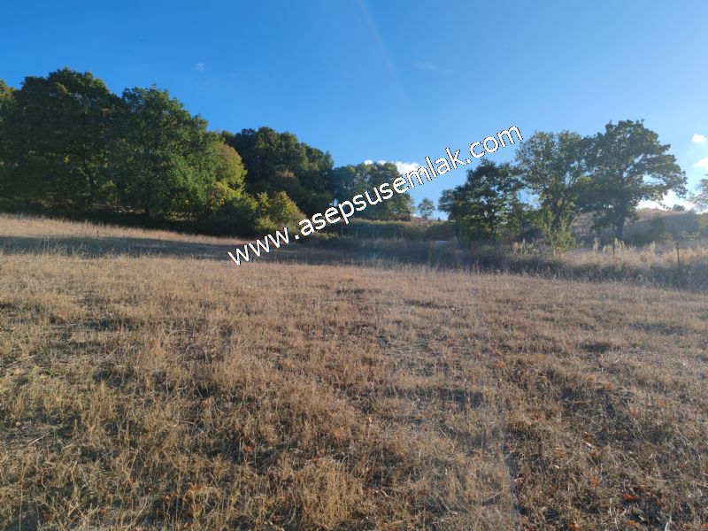 5.600 M2 Çiftlik, Hobi Bağ-Bahçe Kadastro Yolu Var, Hayvancılık