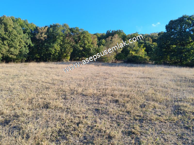 5.600 M2 Çiftlik, Hobi Bağ-Bahçe Kadastro Yolu Var, Hayvancılık
