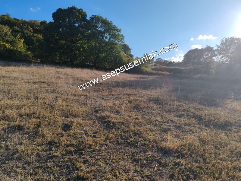 5.600 M2 Çiftlik, Hobi Bağ-Bahçe Kadastro Yolu Var, Hayvancılık