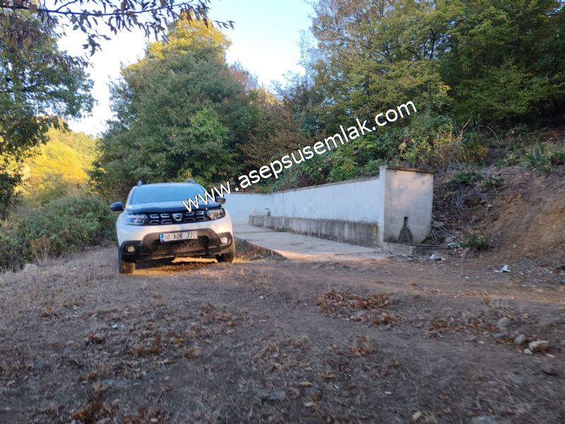 5.600 M2 Çiftlik, Hobi Bağ-Bahçe Kadastro Yolu Var, Hayvancılık