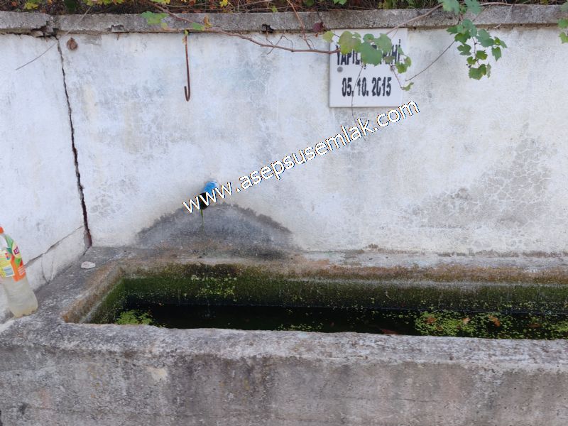 5.600 M2 Çiftlik, Hobi Bağ-Bahçe Kadastro Yolu Var, Hayvancılık