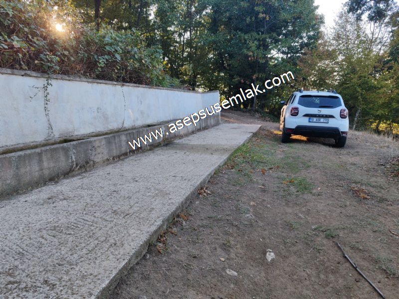 5.600 M2 Çiftlik, Hobi Bağ-Bahçe Kadastro Yolu Var, Hayvancılık