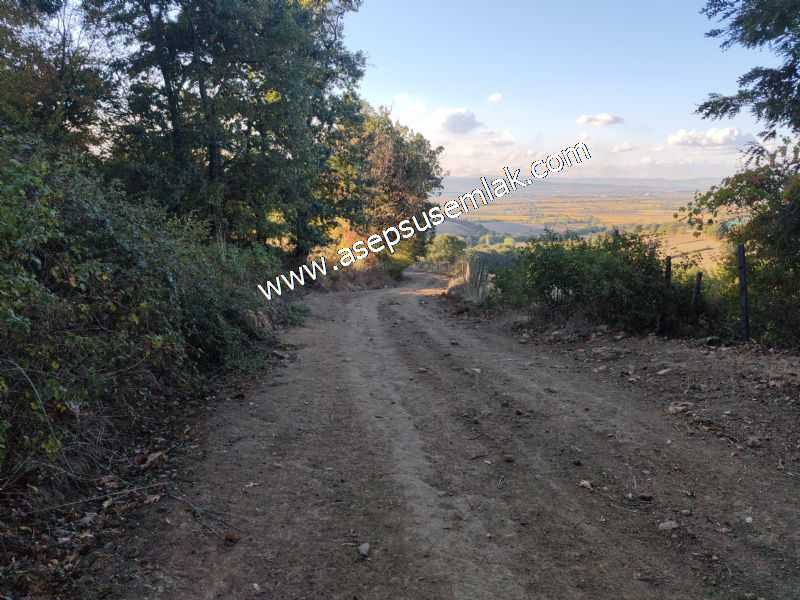 5.600 M2 Çiftlik, Hobi Bağ-Bahçe Kadastro Yolu Var, Hayvancılık