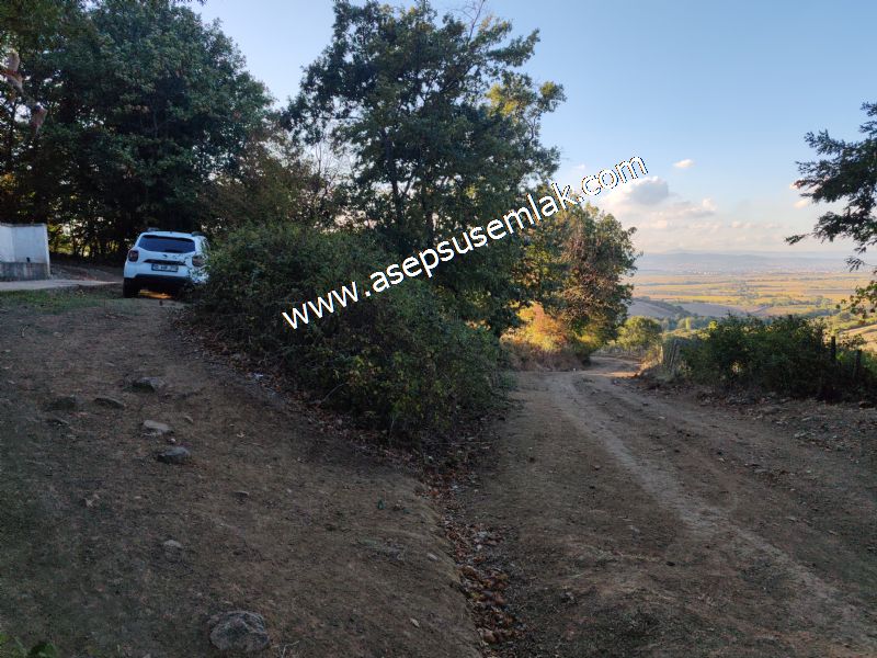 5.600 M2 Çiftlik, Hobi Bağ-Bahçe Kadastro Yolu Var, Hayvancılık