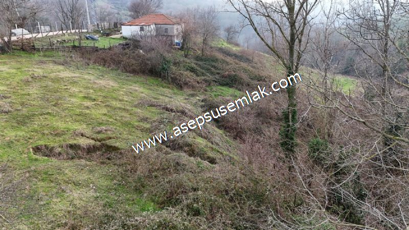 850 ve 921 M2 İmarlı Arsa 2 Kat %40 Müstakil Köy Evi, Bağ-Bahçe