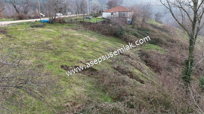 850 ve 921 M2 İmarlı Arsa 2 Kat %40 Müstakil Köy Evi, Bağ-Bahçe