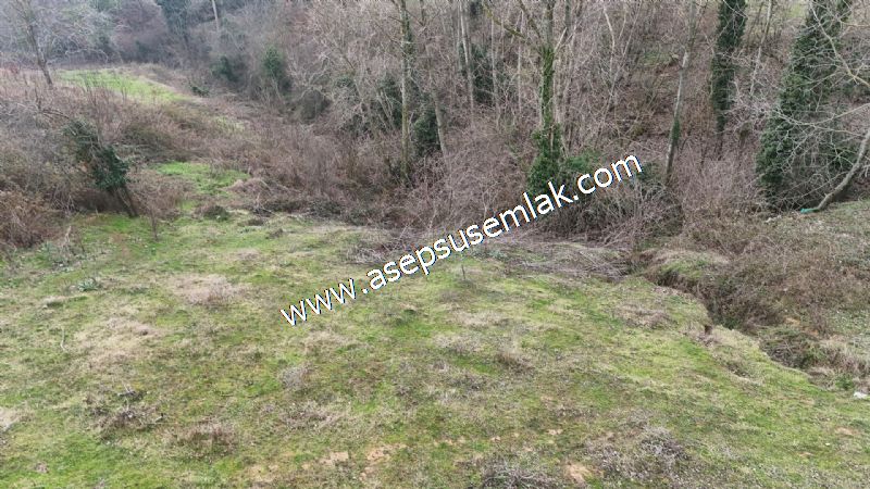 850 ve 921 M2 İmarlı Arsa 2 Kat %40 Müstakil Köy Evi, Bağ-Bahçe