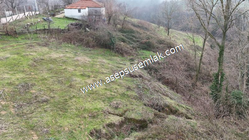 850 ve 921 M2 İmarlı Arsa 2 Kat %40 Müstakil Köy Evi, Bağ-Bahçe