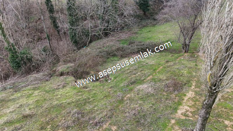 850 ve 921 M2 İmarlı Arsa 2 Kat %40 Müstakil Köy Evi, Bağ-Bahçe