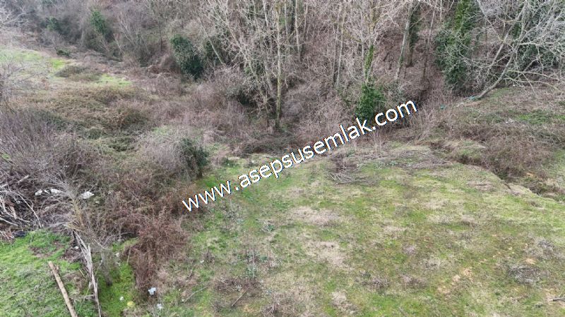 850 ve 921 M2 İmarlı Arsa 2 Kat %40 Müstakil Köy Evi, Bağ-Bahçe