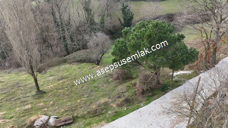 850 ve 921 M2 İmarlı Arsa 2 Kat %40 Müstakil Köy Evi, Bağ-Bahçe