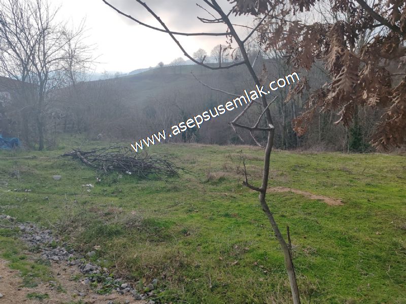 850 ve 921 M2 İmarlı Arsa 2 Kat %40 Müstakil Köy Evi, Bağ-Bahçe