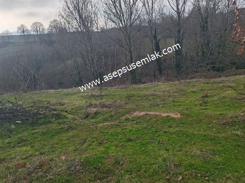 850 ve 921 M2 İmarlı Arsa 2 Kat %40 Müstakil Köy Evi, Bağ-Bahçe