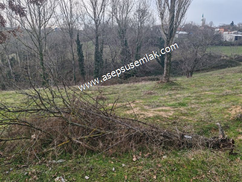 850 ve 921 M2 İmarlı Arsa 2 Kat %40 Müstakil Köy Evi, Bağ-Bahçe