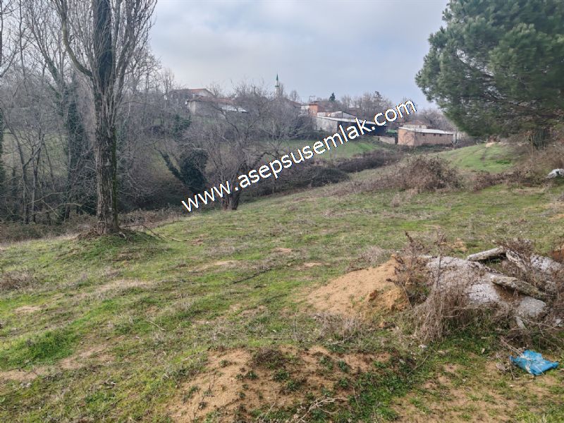 850 ve 921 M2 İmarlı Arsa 2 Kat %40 Müstakil Köy Evi, Bağ-Bahçe