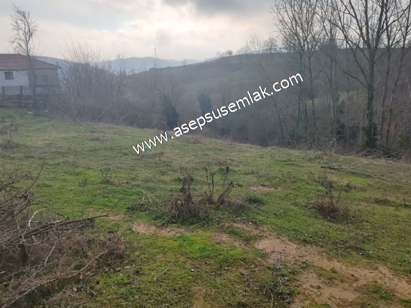 850 ve 921 M2 İmarlı Arsa 2 Kat %40 Müstakil Köy Evi, Bağ-Bahçe