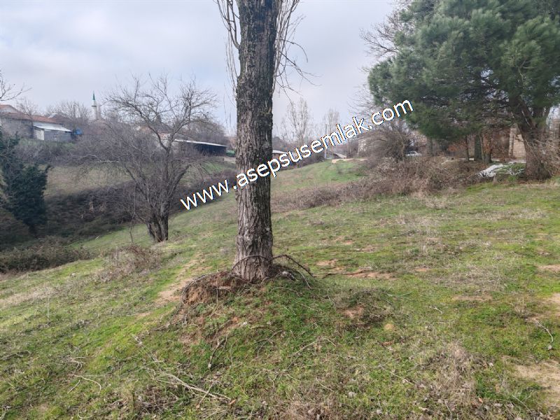 850 ve 921 M2 İmarlı Arsa 2 Kat %40 Müstakil Köy Evi, Bağ-Bahçe