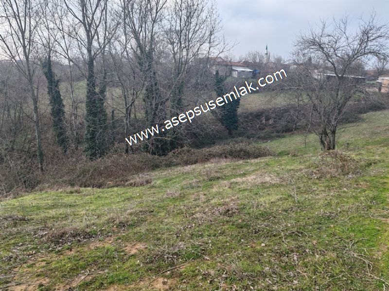 850 ve 921 M2 İmarlı Arsa 2 Kat %40 Müstakil Köy Evi, Bağ-Bahçe