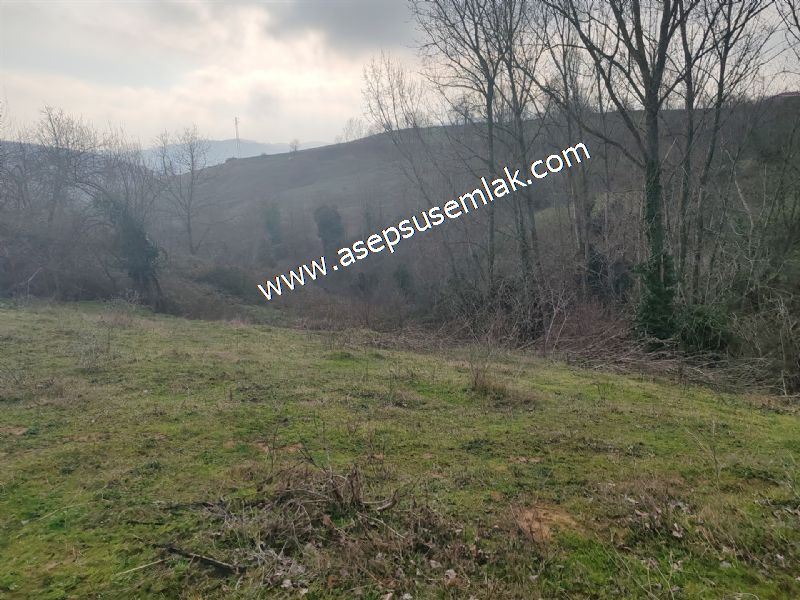 850 ve 921 M2 İmarlı Arsa 2 Kat %40 Müstakil Köy Evi, Bağ-Bahçe