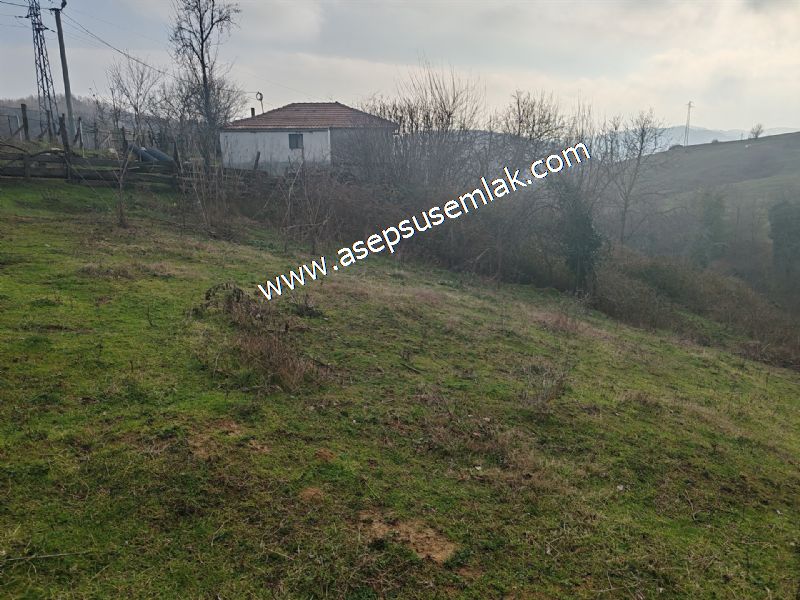 850 ve 921 M2 İmarlı Arsa 2 Kat %40 Müstakil Köy Evi, Bağ-Bahçe