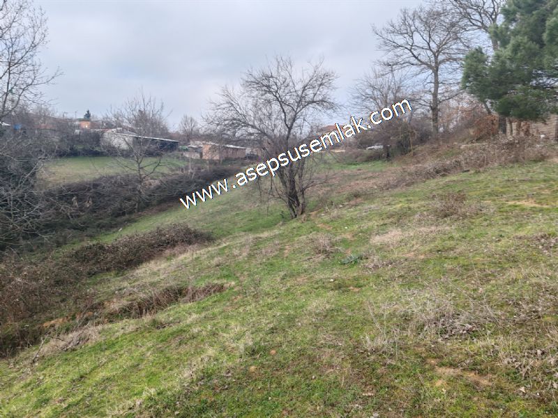 850 ve 921 M2 İmarlı Arsa 2 Kat %40 Müstakil Köy Evi, Bağ-Bahçe