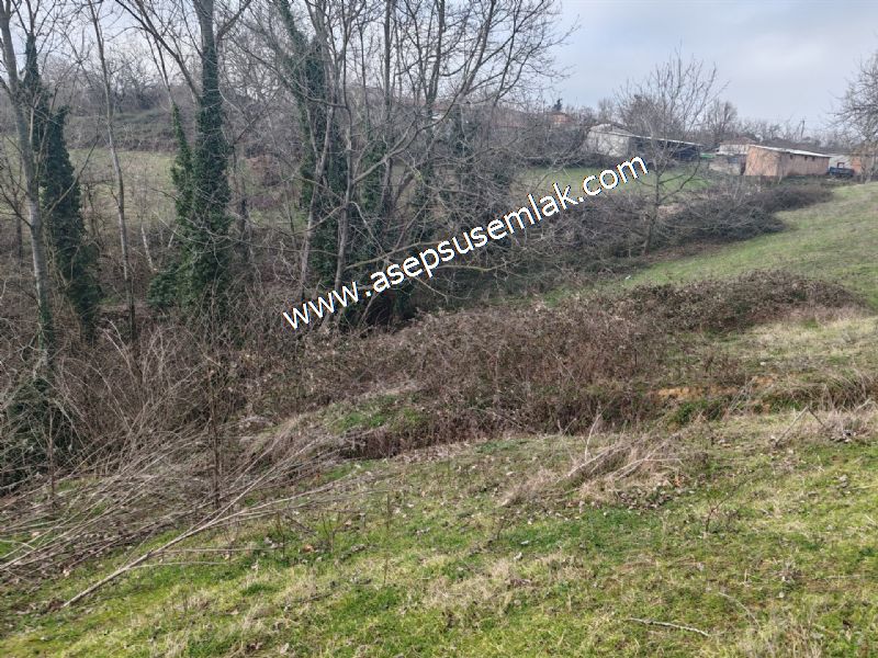 850 ve 921 M2 İmarlı Arsa 2 Kat %40 Müstakil Köy Evi, Bağ-Bahçe