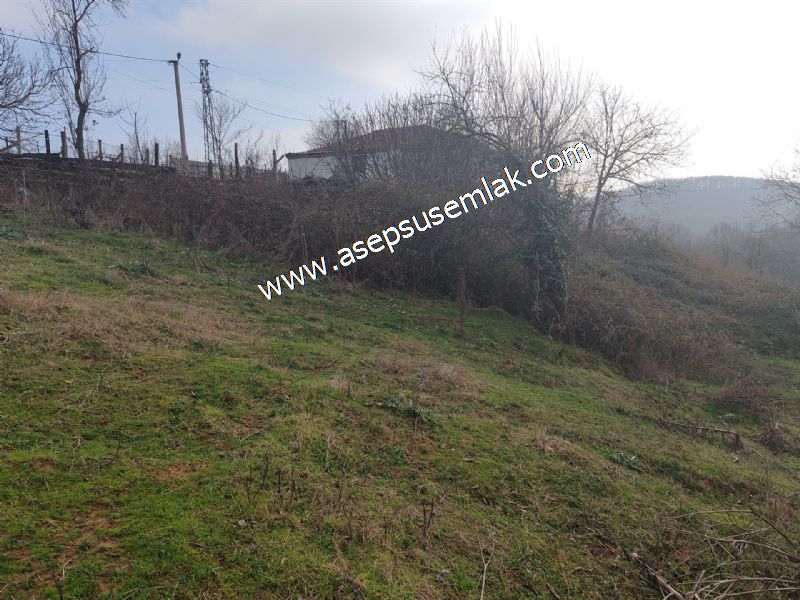 850 ve 921 M2 İmarlı Arsa 2 Kat %40 Müstakil Köy Evi, Bağ-Bahçe