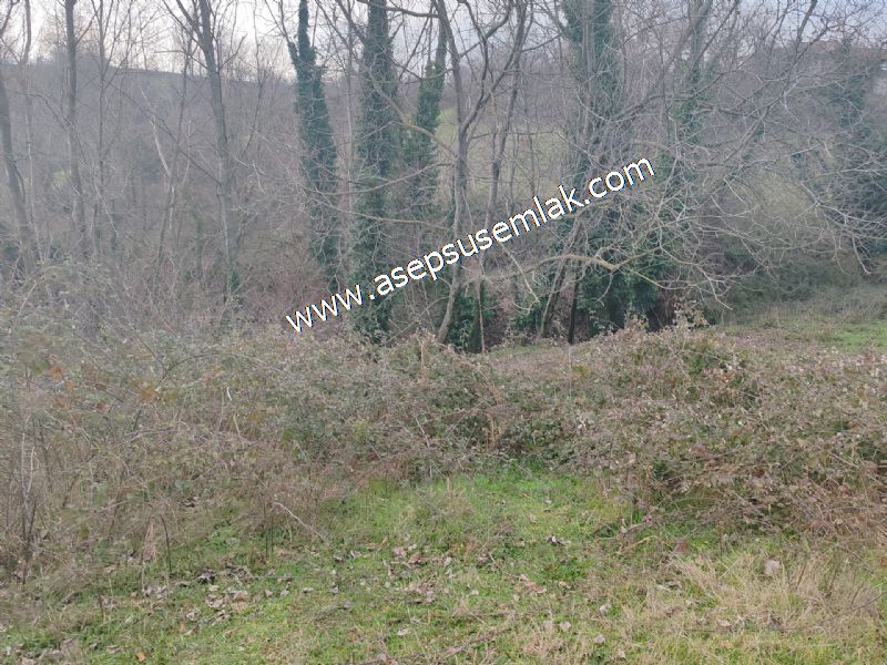 850 ve 921 M2 İmarlı Arsa 2 Kat %40 Müstakil Köy Evi, Bağ-Bahçe