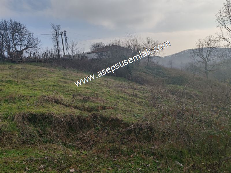 850 ve 921 M2 İmarlı Arsa 2 Kat %40 Müstakil Köy Evi, Bağ-Bahçe