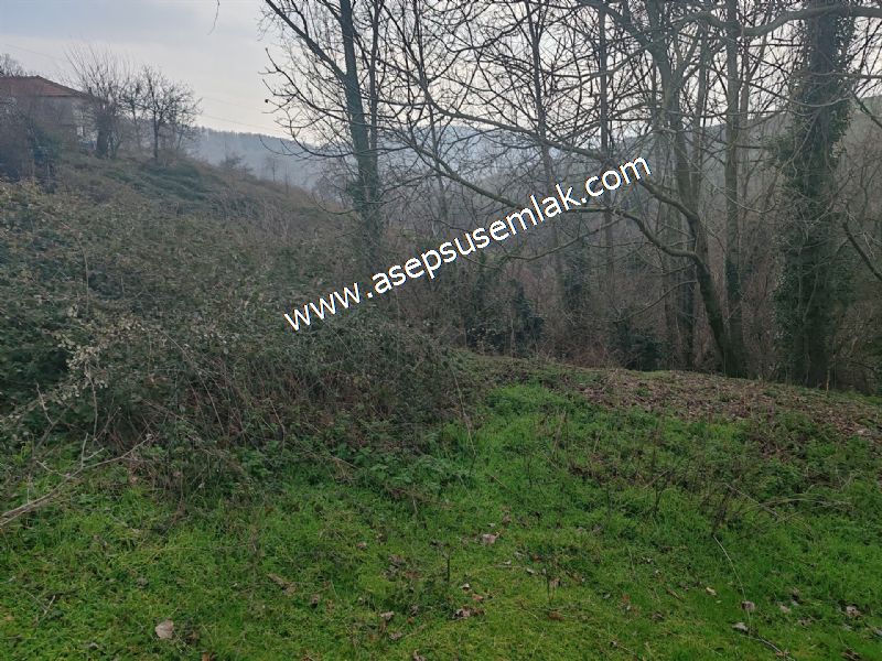850 ve 921 M2 İmarlı Arsa 2 Kat %40 Müstakil Köy Evi, Bağ-Bahçe