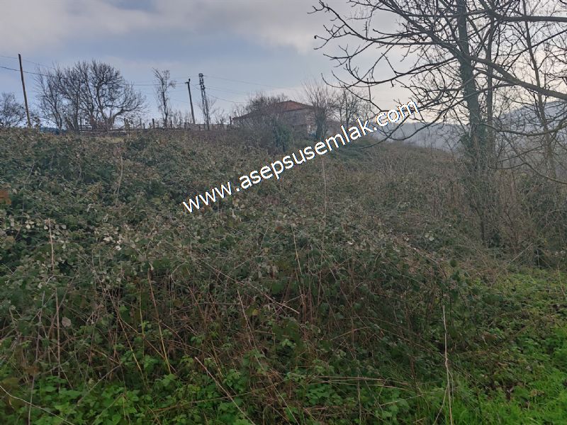 850 ve 921 M2 İmarlı Arsa 2 Kat %40 Müstakil Köy Evi, Bağ-Bahçe
