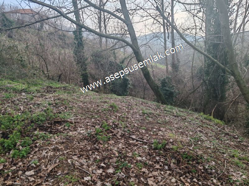 850 ve 921 M2 İmarlı Arsa 2 Kat %40 Müstakil Köy Evi, Bağ-Bahçe
